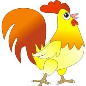 属鸡的命运如何