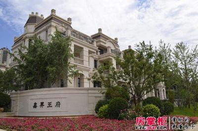 鑫界王府别墅