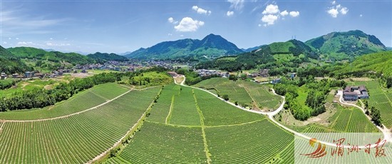 仙游县怎么样
