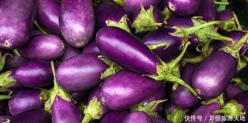茄子宝宝可以吃吗