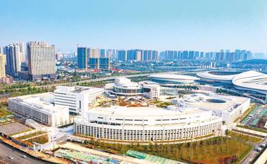 武汉临空港