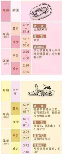 12个月宝宝发育指标