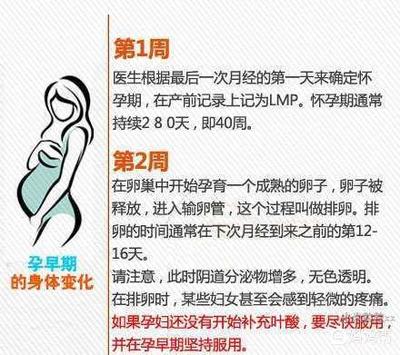 怀孕13周体重增加多少正常