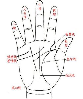 命运线止于智慧线