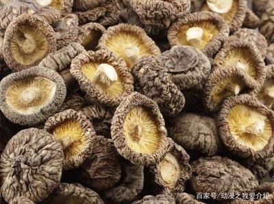 香菇用冷水泡发还是热水泡发