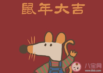 鼠宝宝好不好