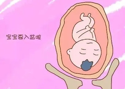 怎么知道胎儿是否入盆