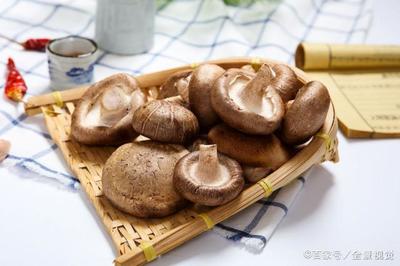 冬天香菇能放几天