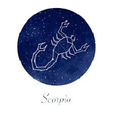 天蝎座后面是什么星座