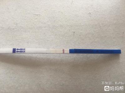 大姨妈推迟两天可以测出怀孕吗