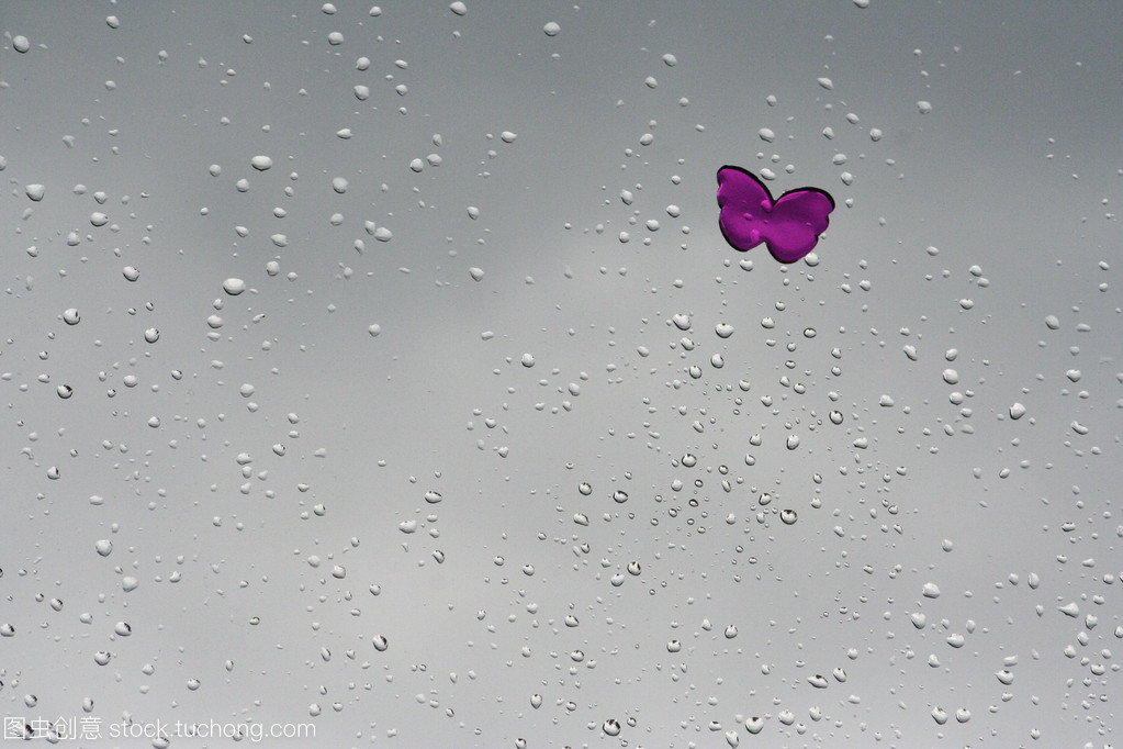 下雨天蝴蝶在哪里避雨