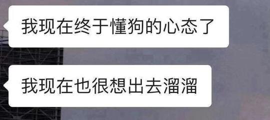 面对 我选择的时候怎么办