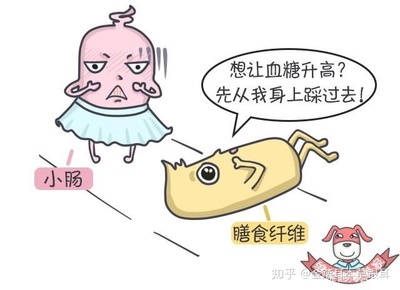 孕妇能吃小肠吗