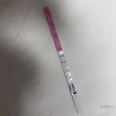 未怀孕试纸图片真实