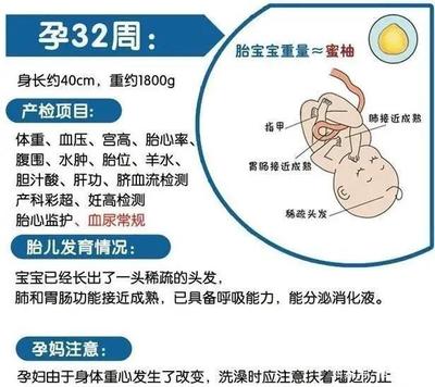 怀孕多久做一次产检