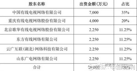 技术入股公司法应占多少