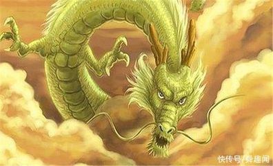 属龙女人的命运