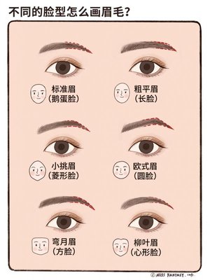 标准眉最适合什么脸型