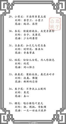关于兰的网名