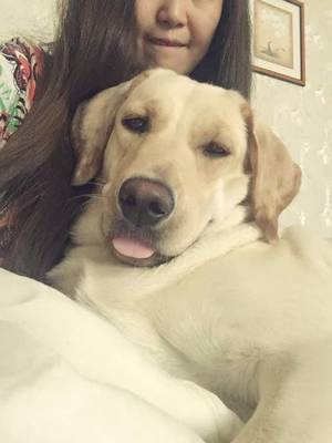 孕妇养宠物