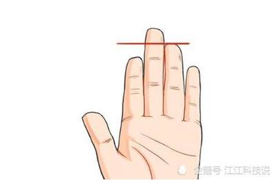 手指看命运指长短