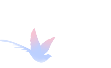 小花仙有什么花精灵王