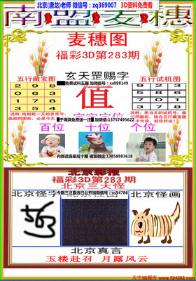 易字五行