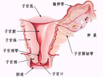 输卵管扩张是怎么回事