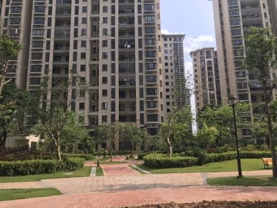 新都怎么样