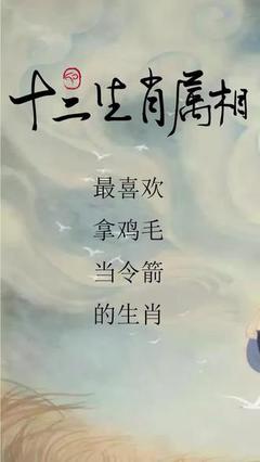 鸡毛令箭打一生肖