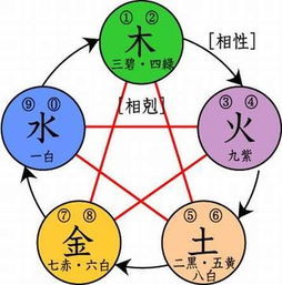 什么是向上五行