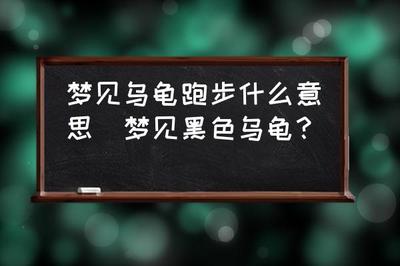 做梦梦到两只乌龟