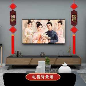 电视代表什么生肖