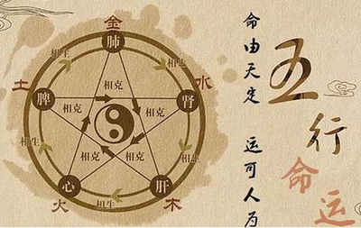 命运预测