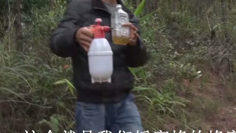 诱蜂水为什么要加红牛