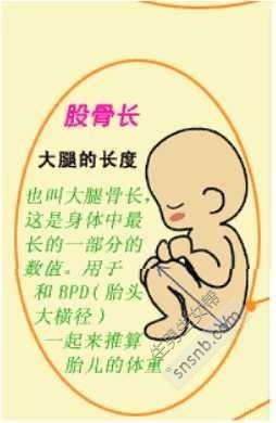 胎儿胎头过低会缺氧吗
