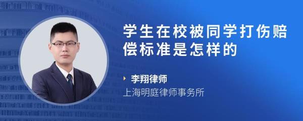 被打伤赔偿标准