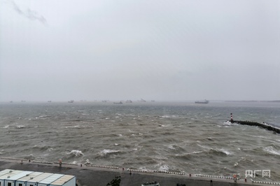 船舶防范台风