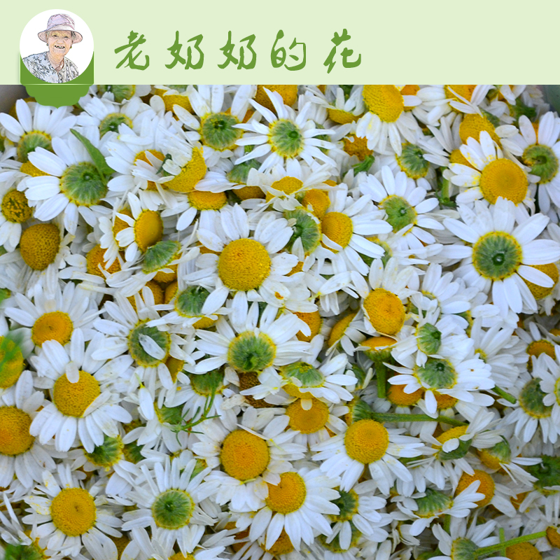 洋甘菊灌肠治痘痘
