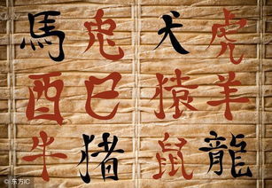 富贵之命什么意思