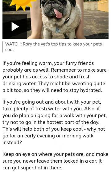 keep pets warm outside