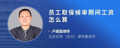 公职律师待遇
