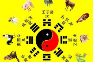 八字测前世
