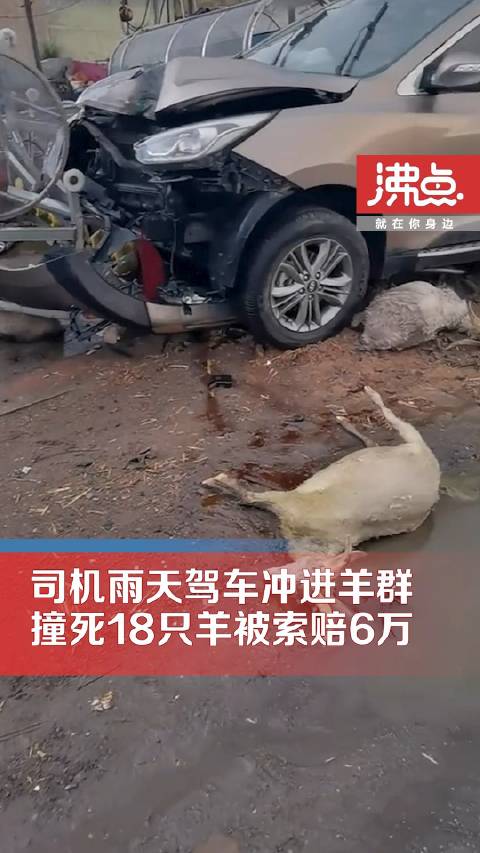 开车撞死羊后逃构成犯罪吗