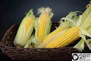 玉米的密度是多少