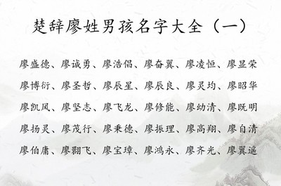 廖取名字男孩名字