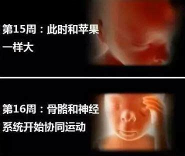 肠炎对胎儿有影响吗
