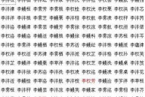 姓李四个字名字