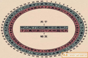 八字看天干还是地支