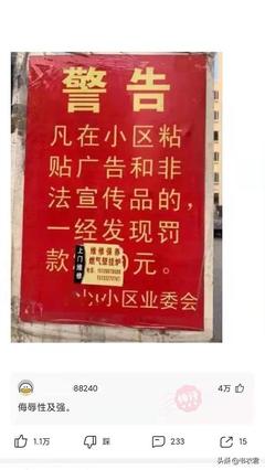 中介取名字大全参考